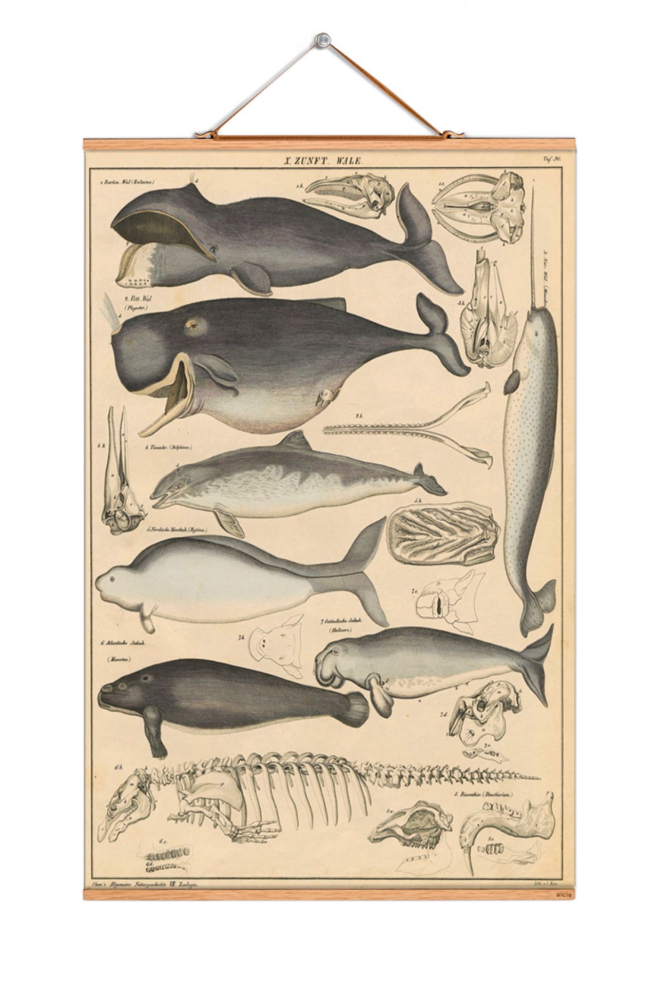 Animals Poster No 16 eicie EINZELSTÜCK