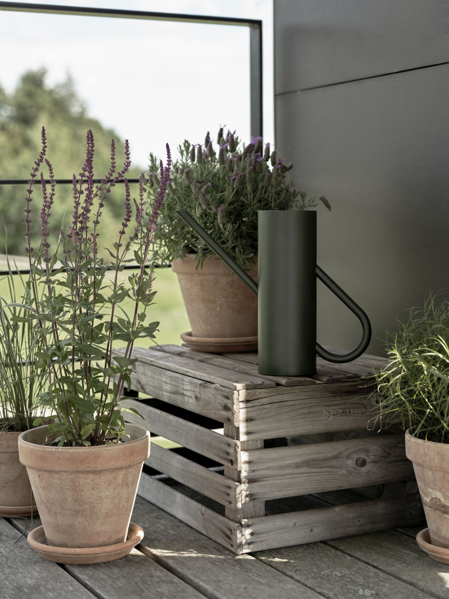 Bloom Blumengießkanne 2l pine EINZELSTÜCK