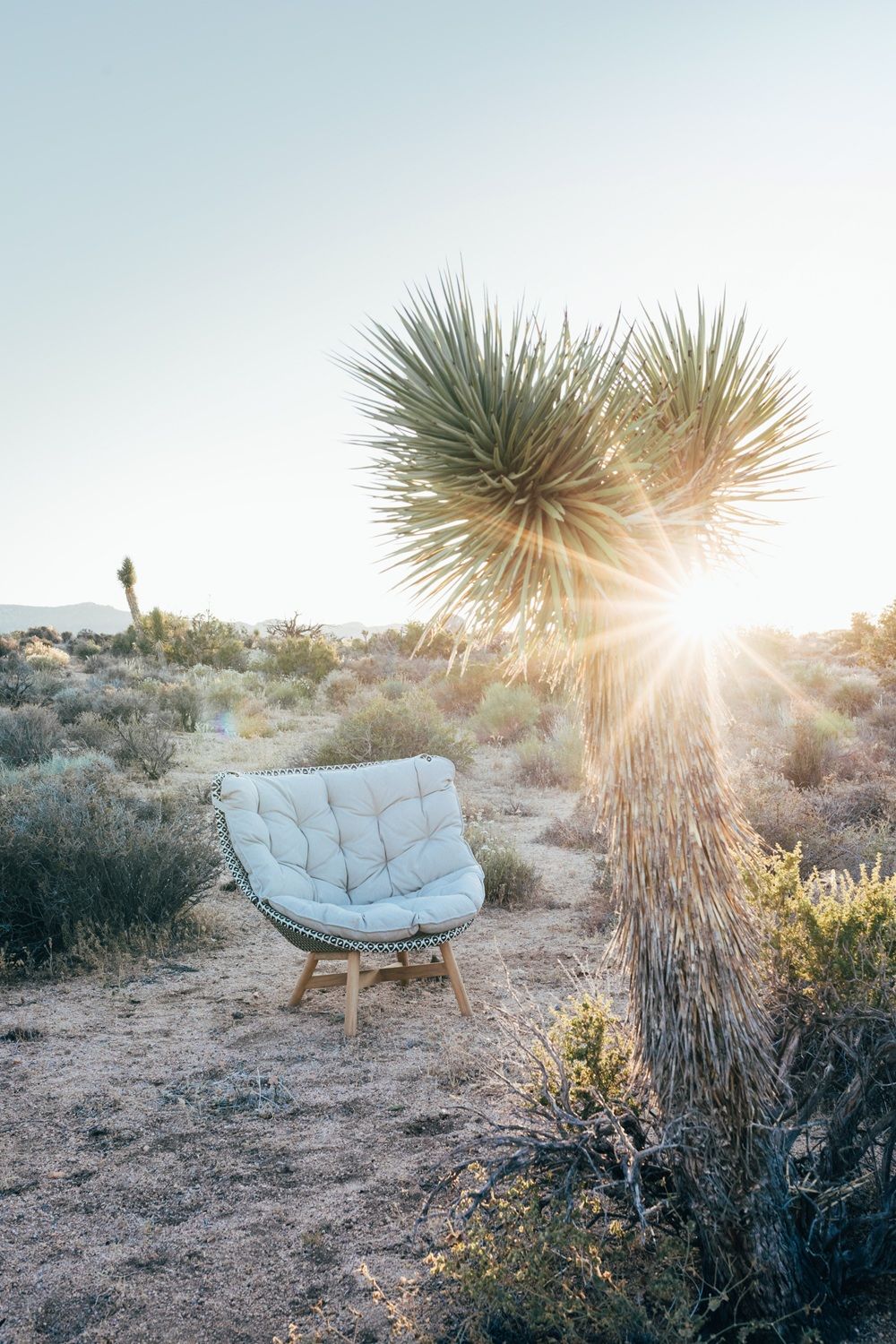 Mbrace Outdoor Wing chair Hochlehner Dedon