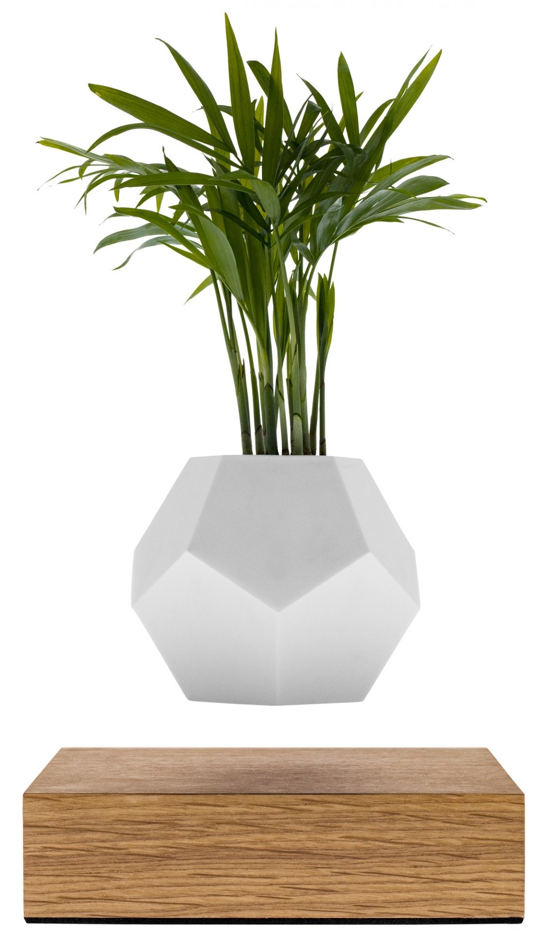 Lyfe schwebende Vase Klein & More EINZELSTÜCK