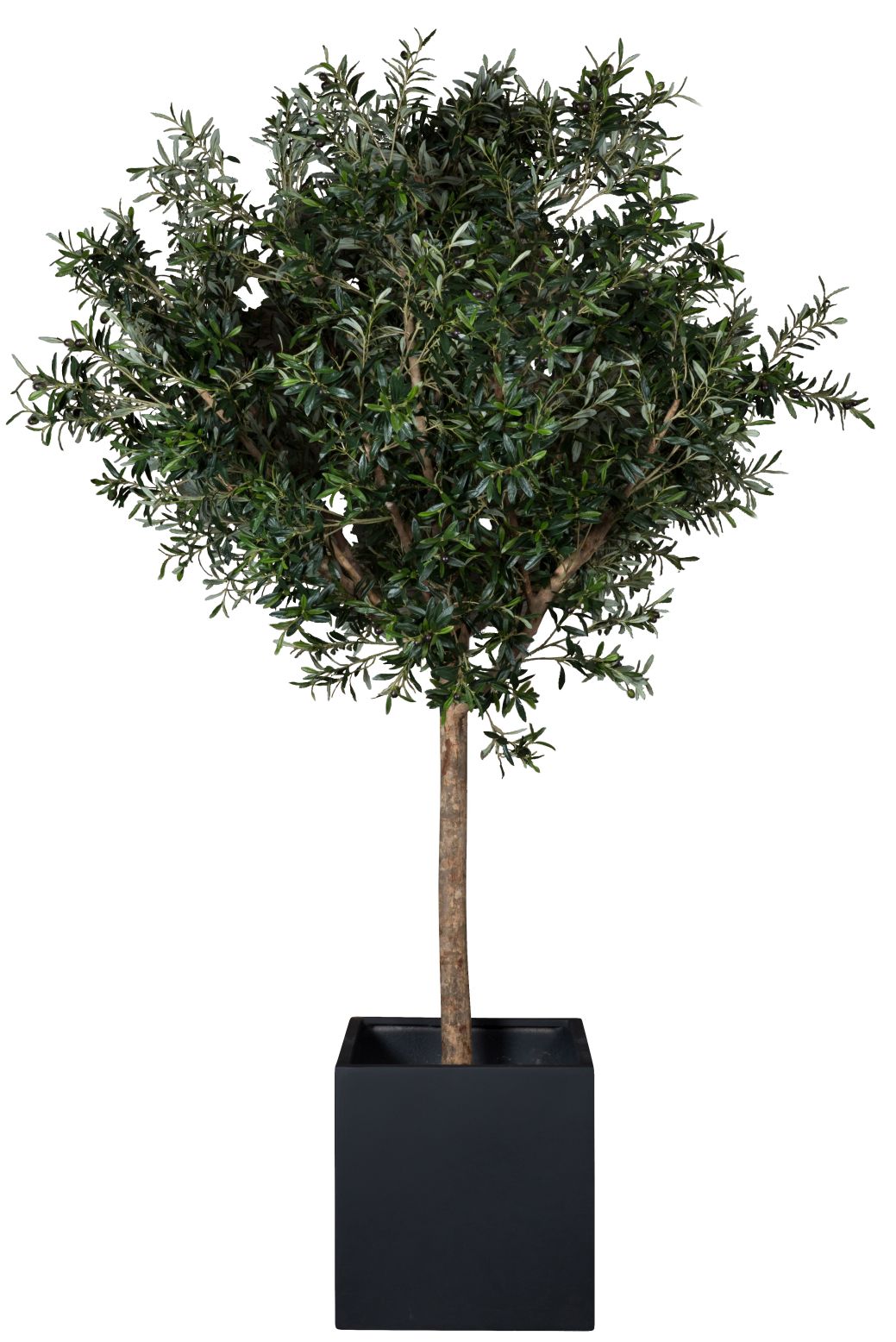 Taiga Olive Tree 230 (Olivenbaum) Kunstpflanze Tanaman    