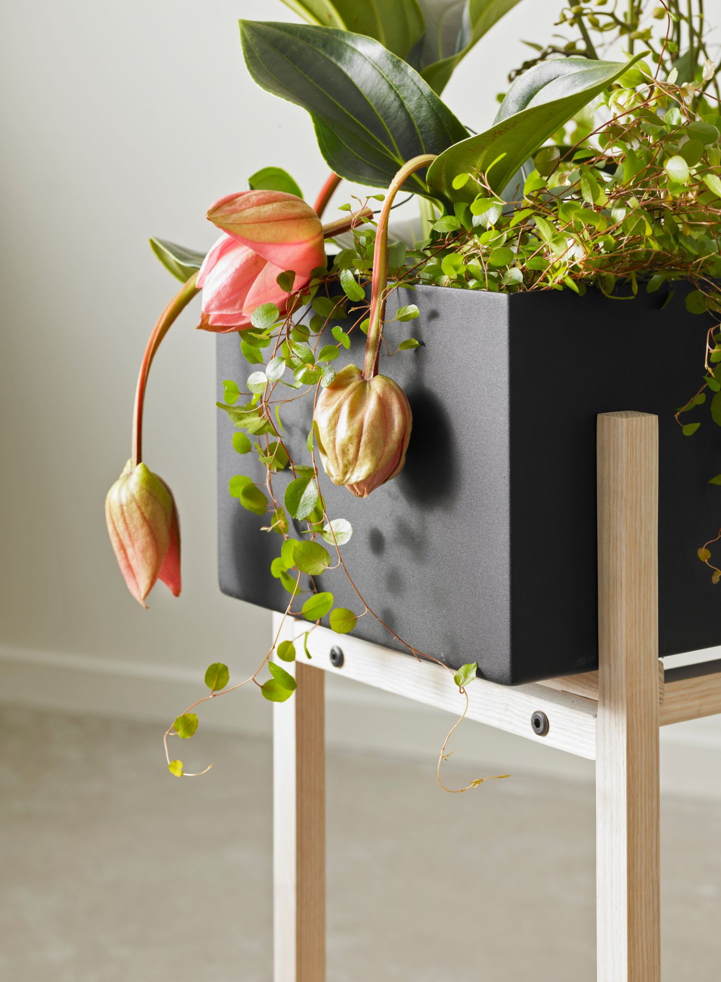 Botanic Flower Stand Blumenkasten Groß Design House Stockholm EINZELSTÜCK