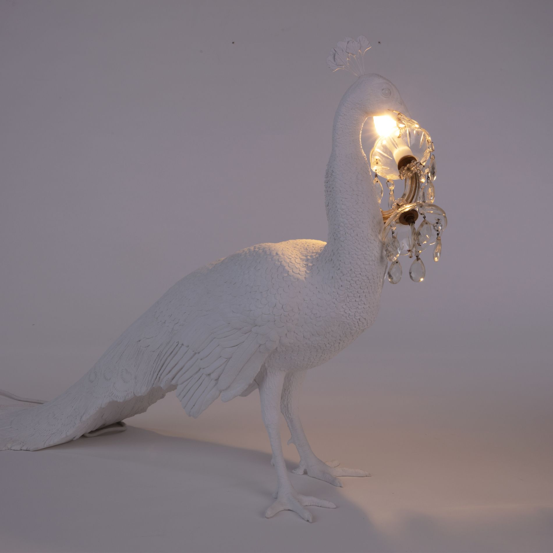 Peacock Lamp Leuchte Seletti EINZELSTÜCK